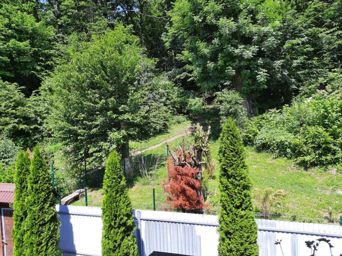 комфортный 山林小屋 喀尔巴阡