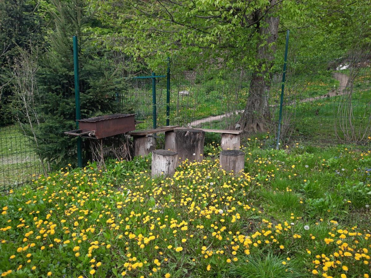 山林小屋 комфортный 喀尔巴阡